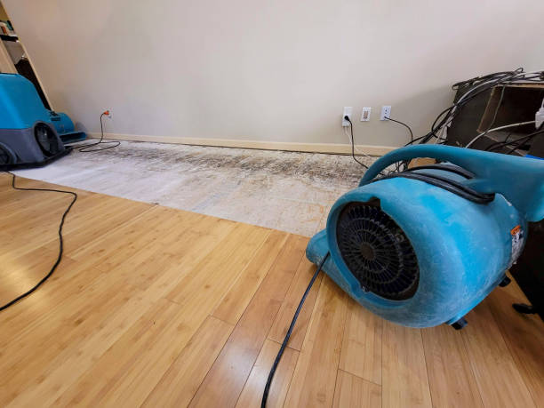 Professional Water Damage Repair technician working in Painesville, OH